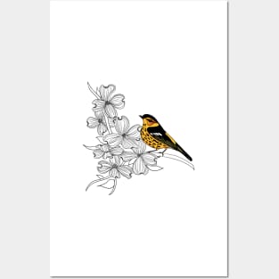 Cape May Warbler Posters and Art